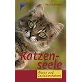 Katzenseele: Wesen und Sozialverhalten