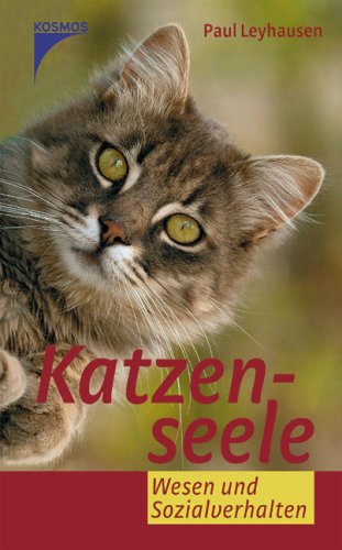 Katzenseele: Wesen und Sozialverhalten