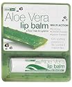 AloeDent Aloe Vera Lip Balm