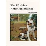 The Working American Bulldog