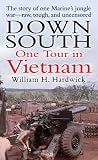 Down South: One Tour in Vietnam