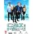 CSI: Crime Scene Investigation - Miami - Season 1 Part 2 [DVD]