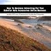 Book Keys To Business Networking For Your Exterior Auto Accessories Online Business