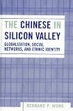 The Chinese in Silicon Valley: Globalization, Social Networks, and Ethnic Identity (Pacific Formations)