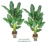 TWO 6' Artificial Banana Tropical Trees, with No Pot, Minor Assembly Required.