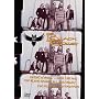The Black Crowes - Freak n Roll Into The Fog - The Black Crowes All Join Hands In San Francisco [DVD]