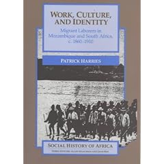 Work, Culture and Identity: Migrant Laborers in Mozambique and South Africa, c.1860-1910 (Social History of Africa)
