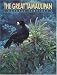 Books : The Great Tamaulipan Natural Province