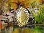 Next Innovations Gold Medium 11" Sun Face Spinner