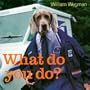 What Do You Do?