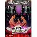 Big Gay Musical [DVD]