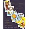 study the tarot