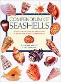  Compendium of Seashells:  R. Tucker Abbott