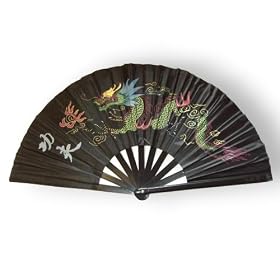 Black Tai chi/Kung fu Fan