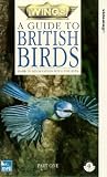 Review Channel 4 Video  / Wings: A Guide To British Birds - Part 1