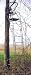 Family Tradition 12' Deluxe Ladderstand