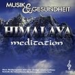 Musik und Gesundheit Vol.17 - Himalaya meditation