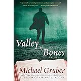 valley of bones a novel jimmy paz