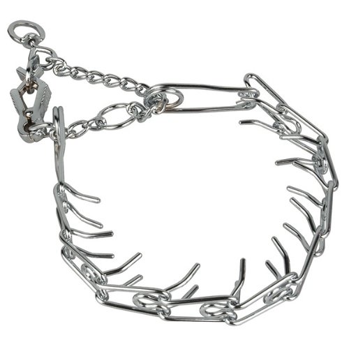 Spiked Training Collar Extra Small My Pet Supplies
