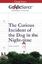 GradeSaver (TM) ClassicNotes: The Curious Incident of the Dog in the Night-time