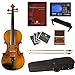 Cecilio CVN-500 Antique Flamed Ebony Violin+Tuner, 2 Bows, Shoulder Rest, Extra Strings & Lesson Book in 4/4 (Full Size)