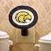 Art-Glass Nightlight-Southern Miss