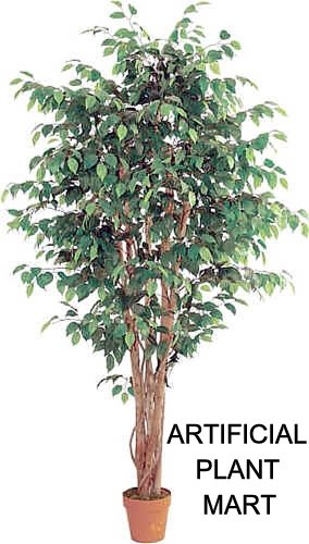 1 Artificial Silk Potted 8 foot Ficus Tree Plant with 1680 leaves and real natural wood trunks
