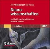 Bild-DVD, Neurowissenschaften: Die Abbildungen des Buches (German Edition)