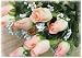 Set of 3-Peach Colored Silk Closed Rose Bud Bushes