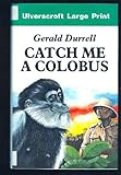 Catch me a colobus