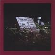 The Seventeen-Year-Locusts