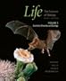 Life: The Science of Biology, Vol. II