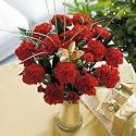 Flowers by Post - Festive Red Standard