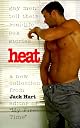 Heat : Gay Men Tell Their Real-Life Sex Stories