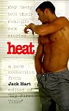 Heat: Gay Men Tell Their Real-Life Sex Stories (Transworld)