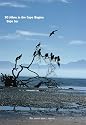 50 Hikes in the Cape Region, Baja Sur