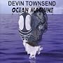 Ocean Machine ~ Devin Townsend