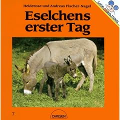 Eselchens erster Tag