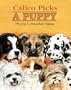 Calico Picks a Puppy