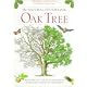 The Natural History of the Oak Tree/an Intricate Visual Exploration of the Oak and Its Environment