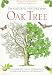 Book The Natural History of the Oak Tree: An Intricate Visual Exploration of the Oak and Its Environment
