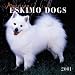 American Eskimo Dogs 2001 Calendar