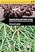 Search : Tropical Root and Tuber Crops: Cassava, Sweet Potato, Yams, Aroids (Cabi)