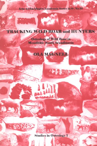 Tracking Wild Boar & Hunters: Osteology of Wild Boar in Mesolithic South Scandinavia (Acta Archaeologica Lundensia)