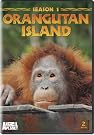 Orangutan Island...