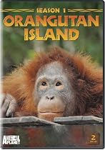 Streaming Orangutan Island - Season 1 Online.