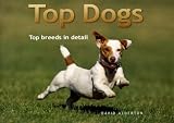 Top Dogs: Top Breeds in Detail