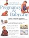 Book The Practical Encyclopedia Of  Pregnancy & Babycare