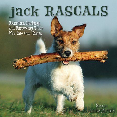 Jack Rascals: Bouncing, Barking, and Burrowing Their Way Into Our Hearts