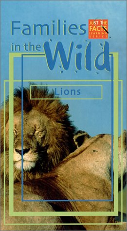 Families in the Wild - Lions